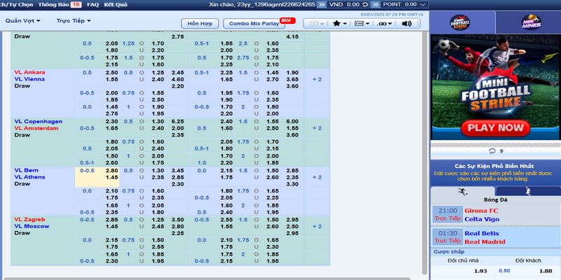 Trong sảnh thể thao thu hút và ấn tượng nhất bởi bộ môn bóng rổ